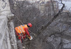 Új Akropolisz GEA - Gellért-hegy - Panoráma szépítése Új Akropolisz GEA - Gellért-hegy